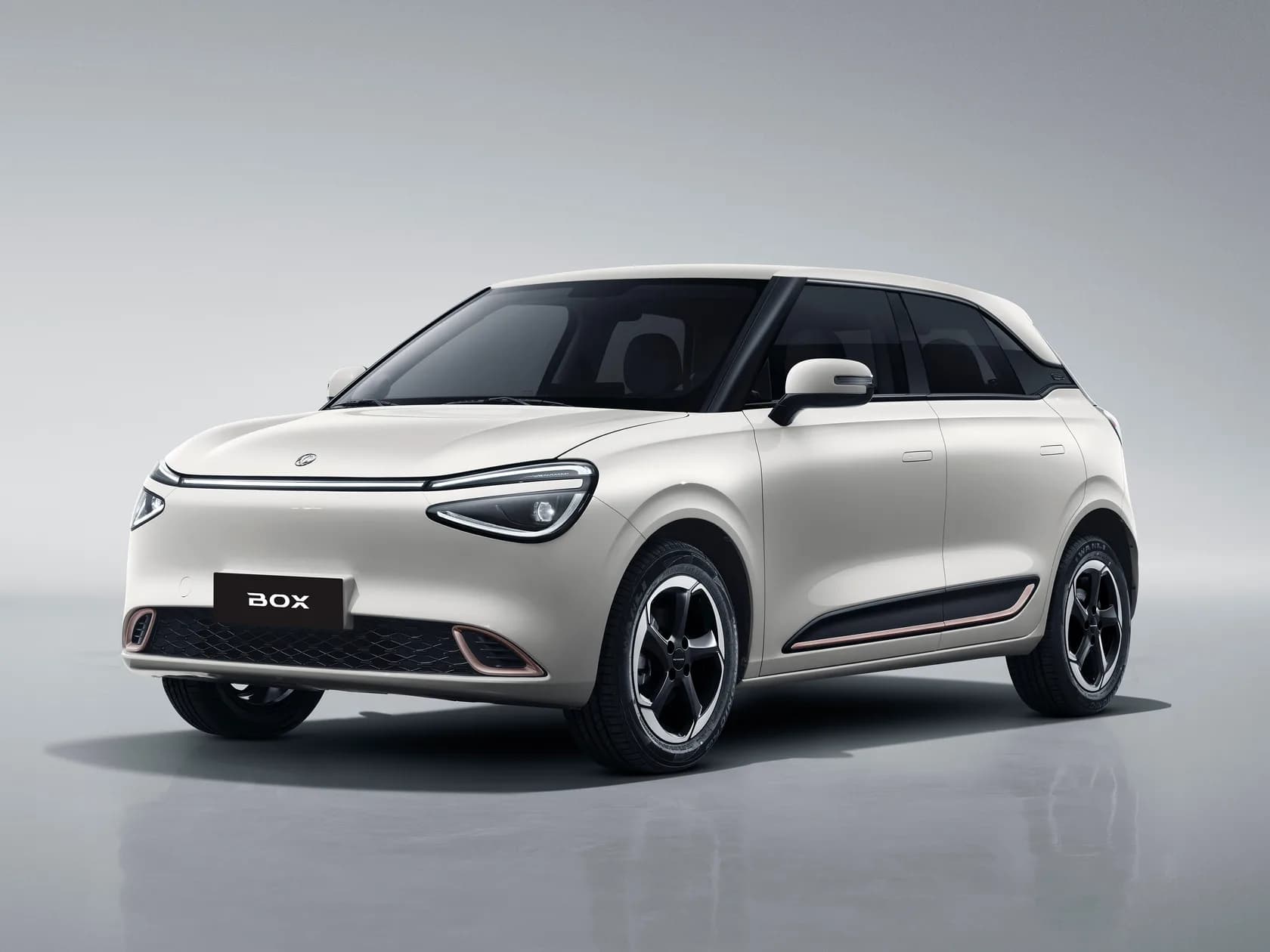 Box EV (Nammi 01)