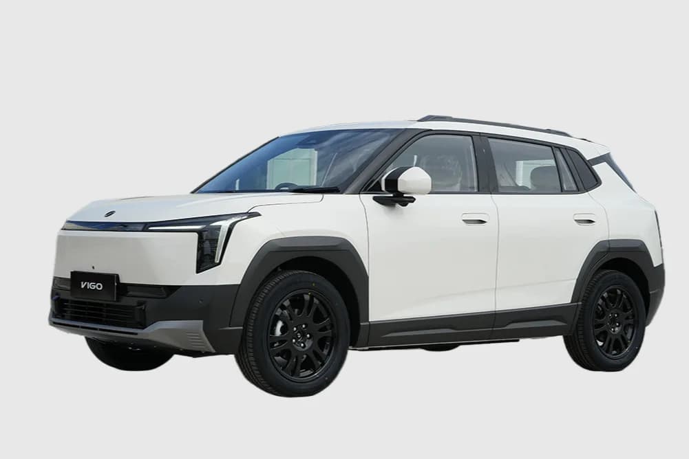 Vigo EV (Nammi 06) in Carefree White