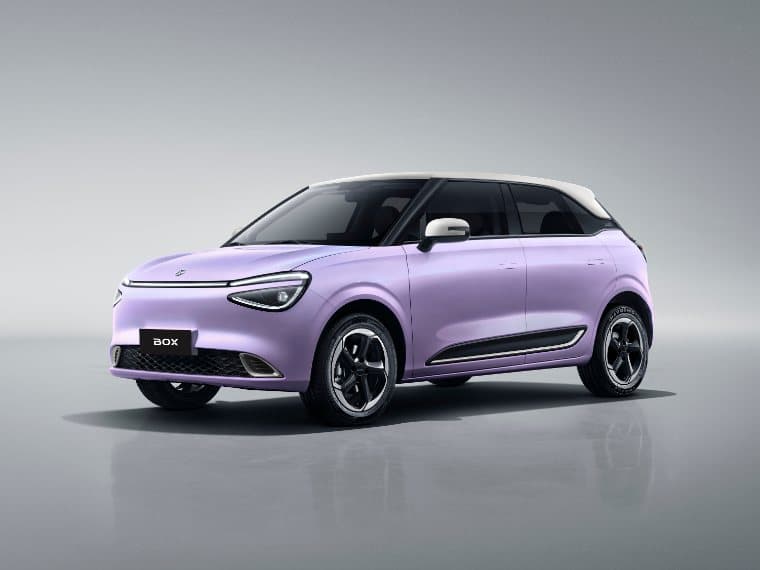 Box EV (Nammi 01) in Purple
