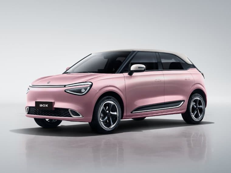 Box EV (Nammi 01) in Pink