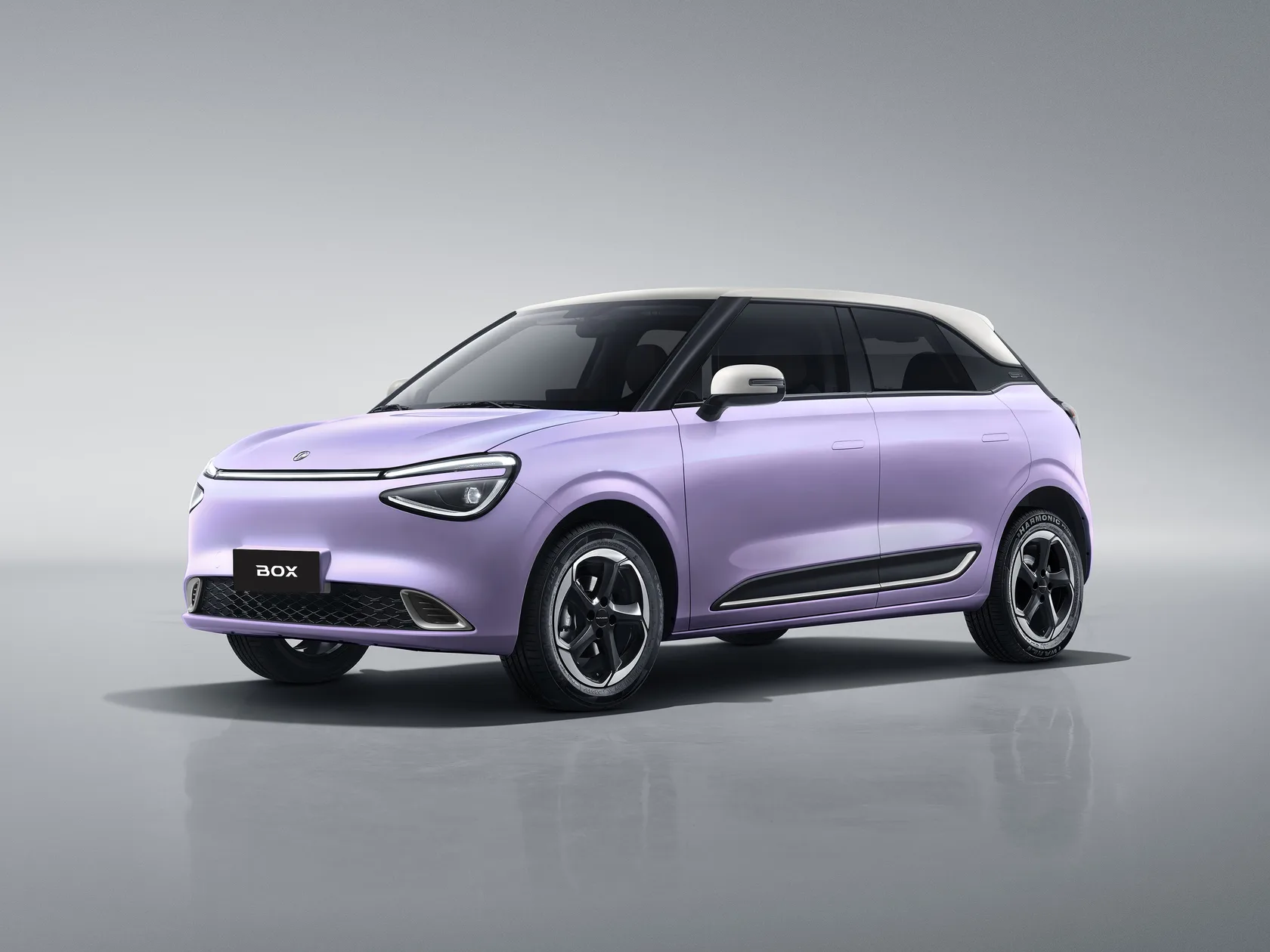 Box EV (Nammi 01) in Fantasy purple