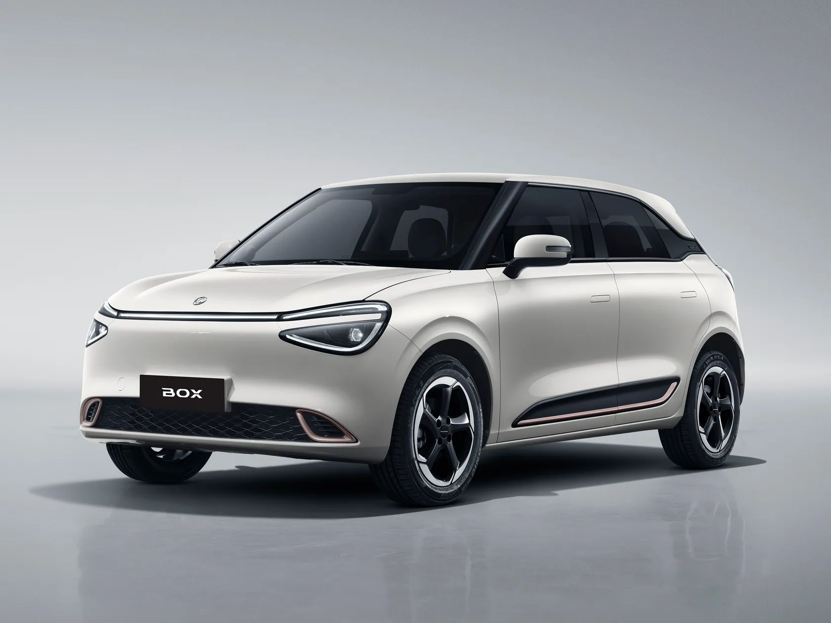 Box EV (Nammi 01)