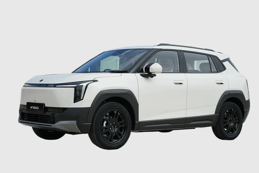 Vigo EV (Nammi 06) in Stone white