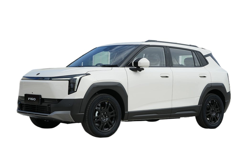 VIGO EV (NAMMI 06)
