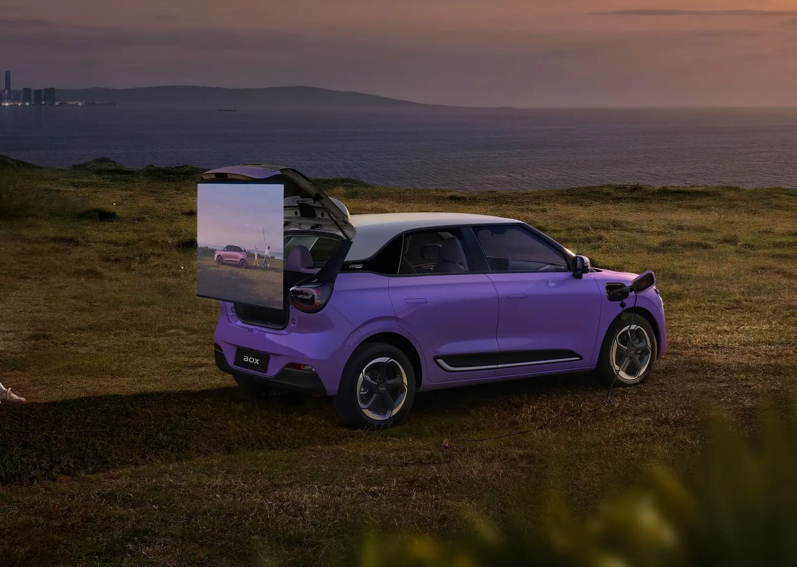 Dongfeng Box charging