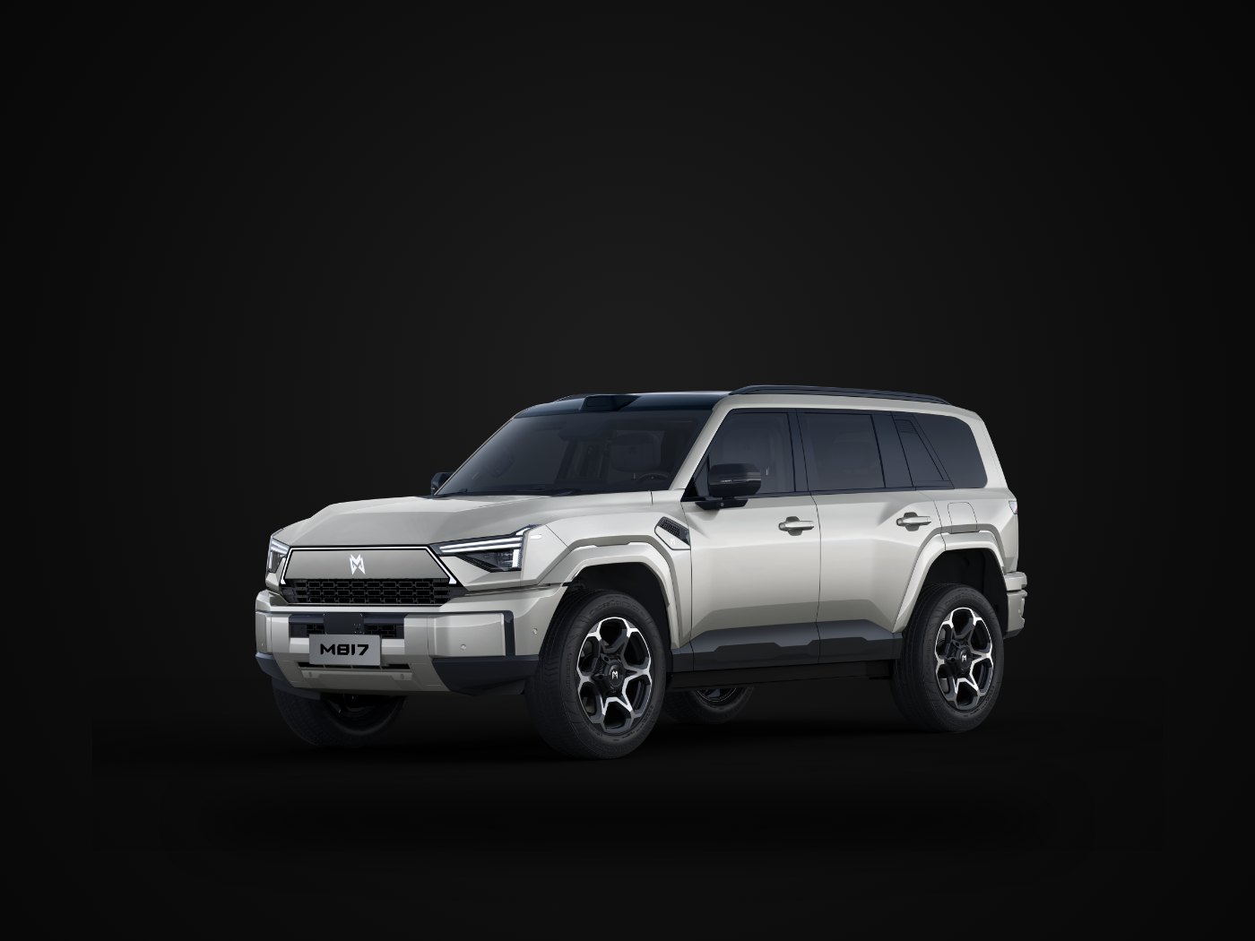 Dongfeng MHero 817